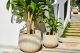 Tuscan Path Pots Pavers
