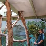 Porta's Partnership with Byron Bay Wildlife Sanctuary