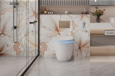 Choosing the Right Modern Toilet: Wall-Mounted, In-Wall, and Skew Options Explained