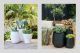 Potted Plans