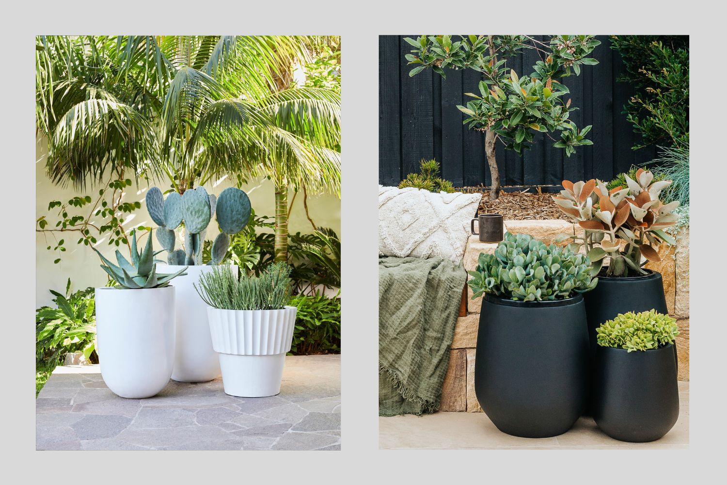 Potted Plans