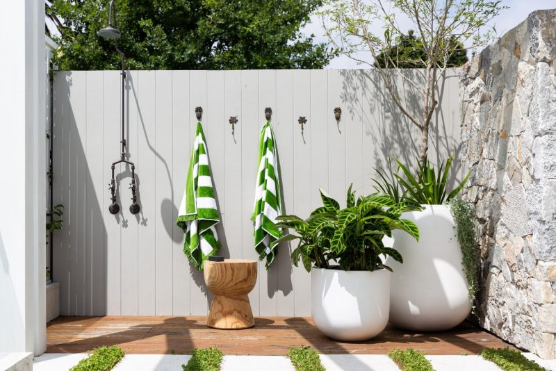 Potted Plans