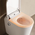 Smart Toilet