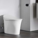 Smart Toilet
