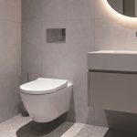 Choosing the Right Modern Toilet: Wall-Mounted, In-Wall, and Skew Options Explained