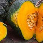 Pumpkin