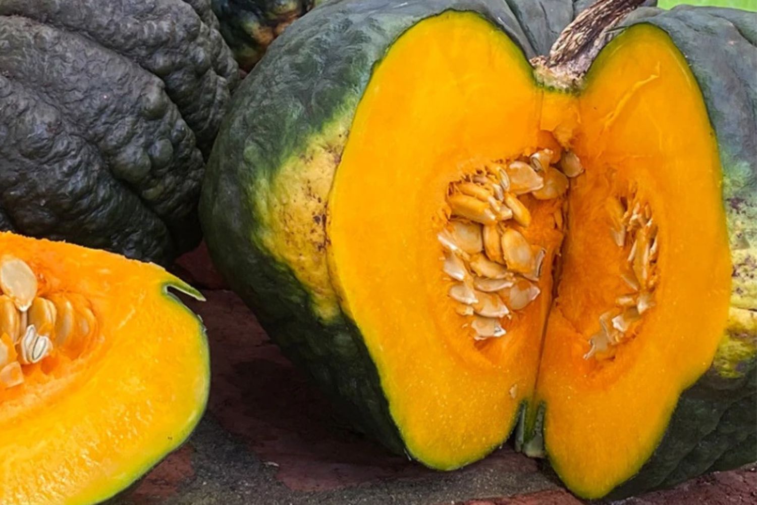 Pumpkin