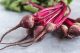 Homegrown beetroot