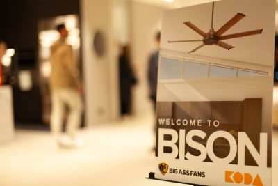 Bison
