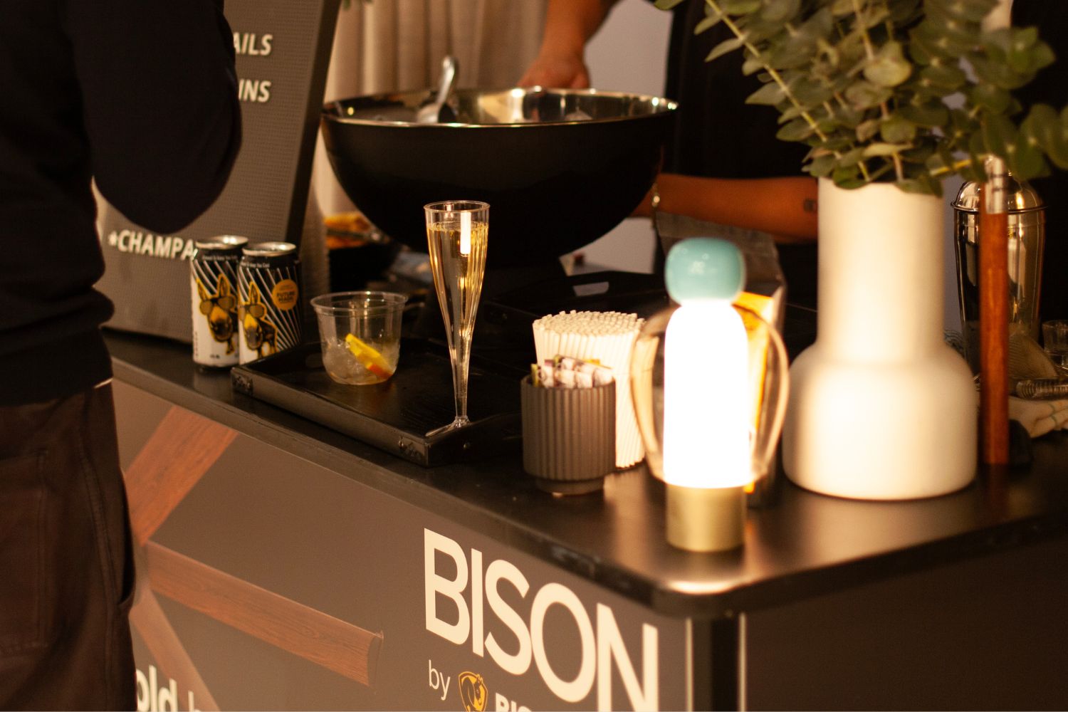 Bison