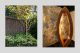 Yardstick Landscapes