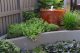 Outhouse Design