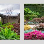 Peter Christopher Gardens