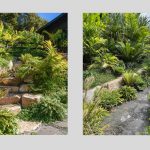 Nature Zone Landscaping