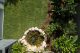 Brooke's Blooms