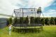 Springfree Trampoline