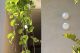 Rockcote’s MicroStone