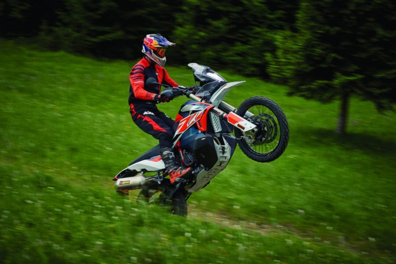 294374 Ktm 790 Adventure R Rally 1024x683