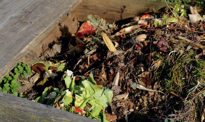 Soil ecosystem work for you