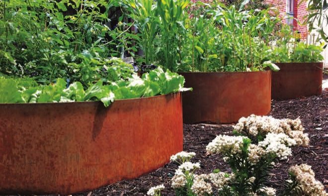 gardeners guide top picks