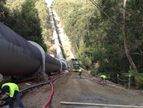 Kangaroo Pipeline Dilemma Averted