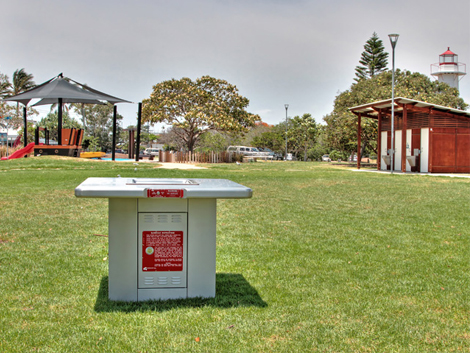 300 Equal Access Electric Barbecue