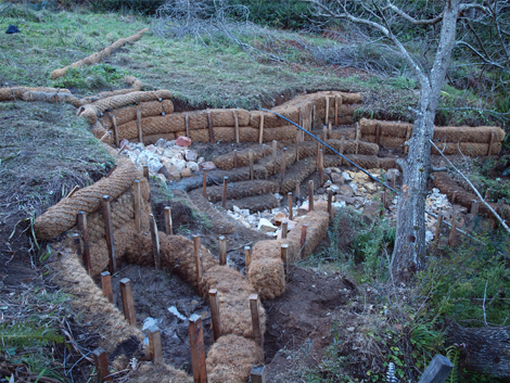 Blue Mountains World Heritage