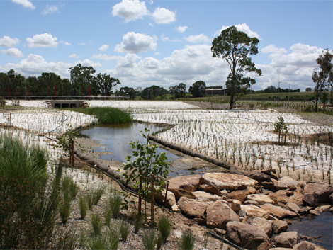 New Estate Bio-Retention and Creek Development - Penrith