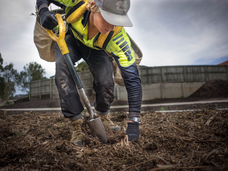 Specialist Planting Services