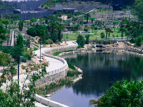 Brisbane Botanic Gardens Legacy Way Expansion