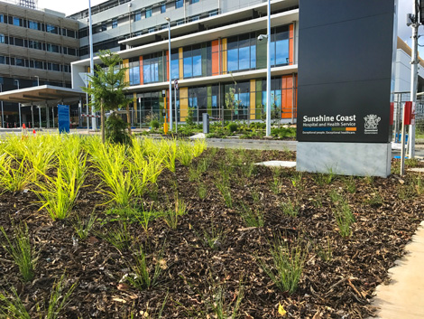 The Sunshine Coast University Hospital