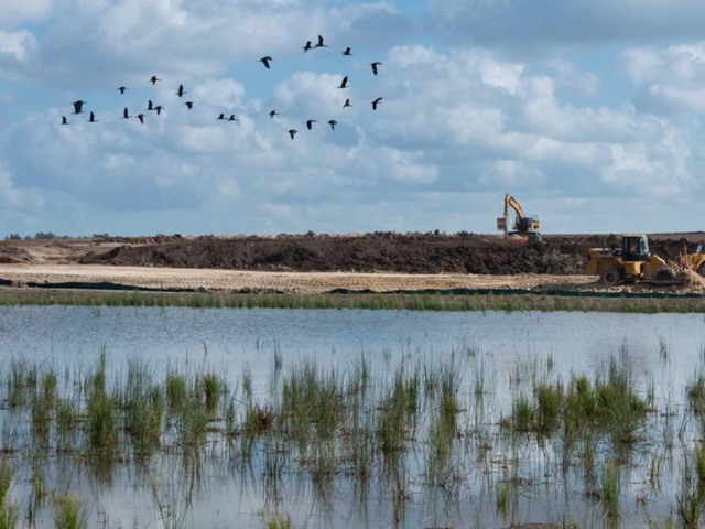 EROSION CONTROL SERVICES