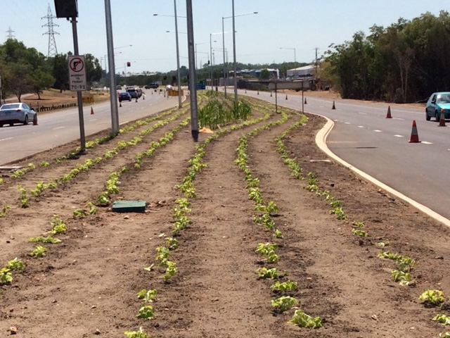 TIGER BRENNAN DRIVE, DARWIN
