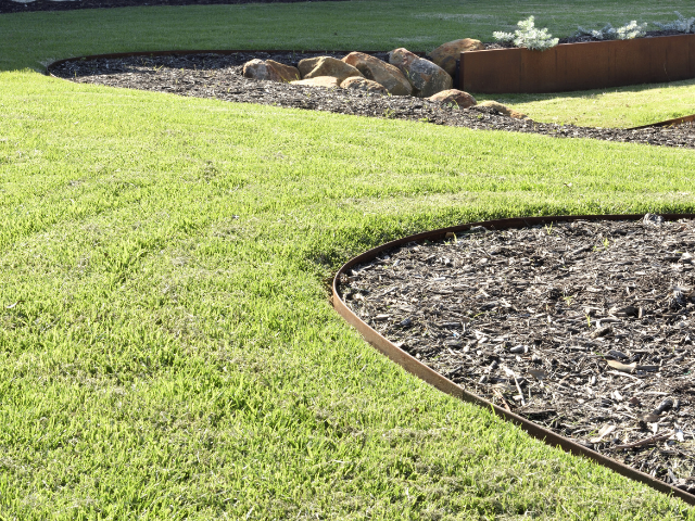 Lawn Alternatives for the Aussie Climate