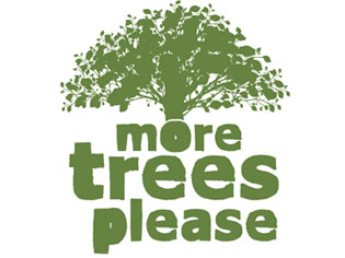 NGIA Board re-elected at AGM