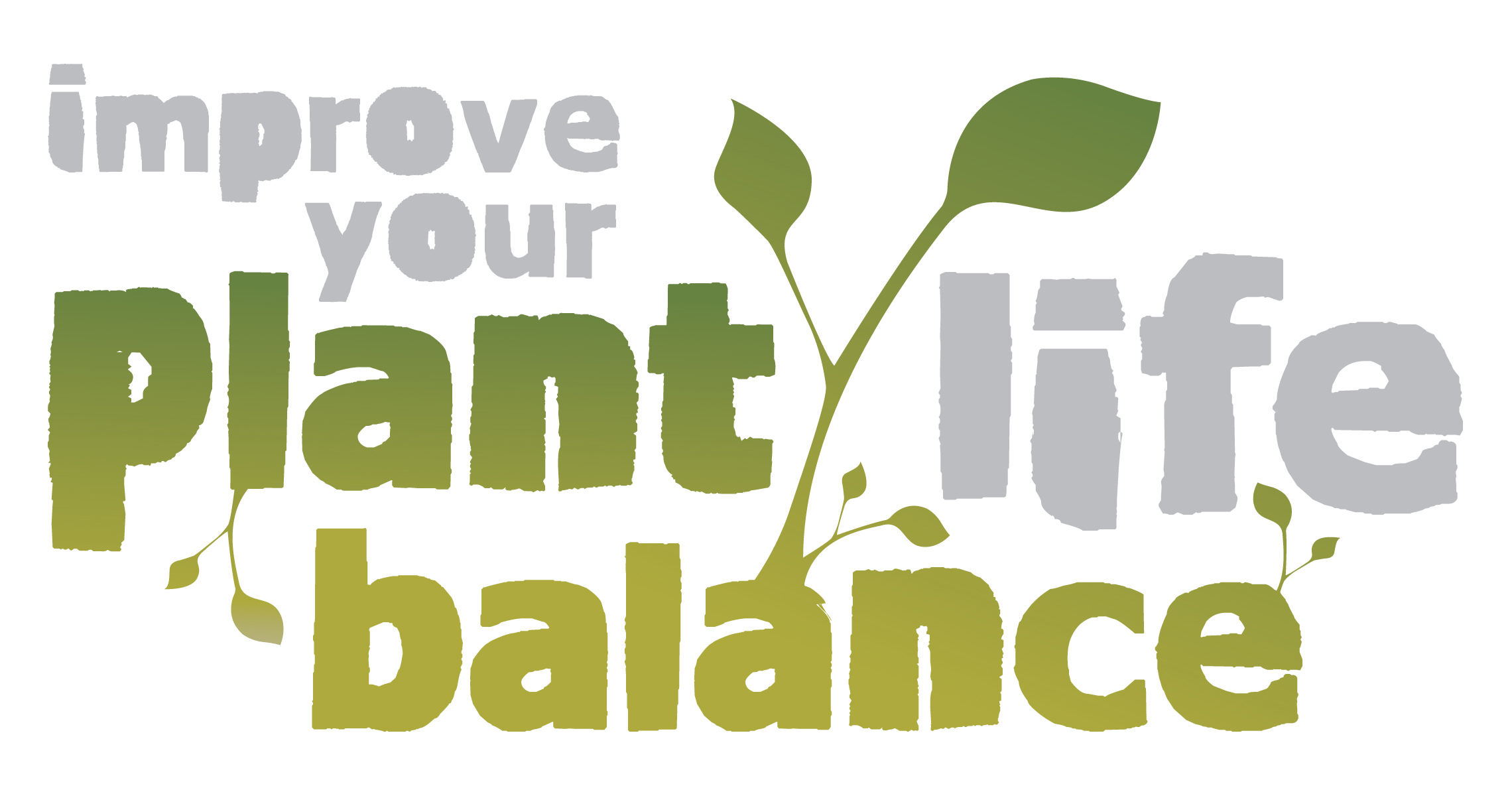 NGIA Board re-elected at AGM