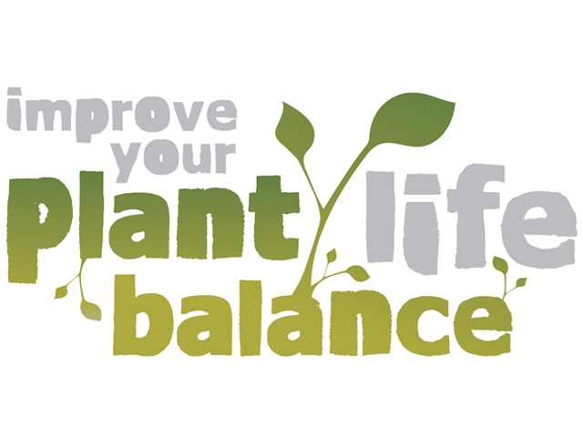 Australian cities fall well below international standards