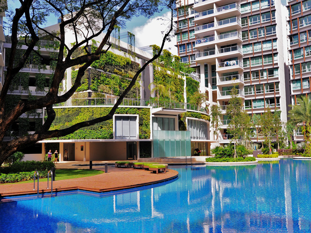 Green Wall for Double Bay Residences