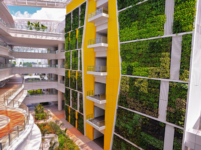 World's Largest Green Wall Project