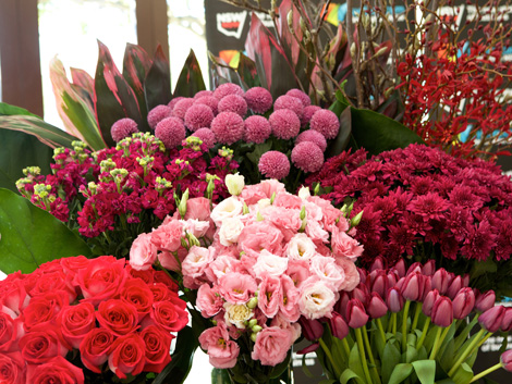 The Ross Garden Clinic