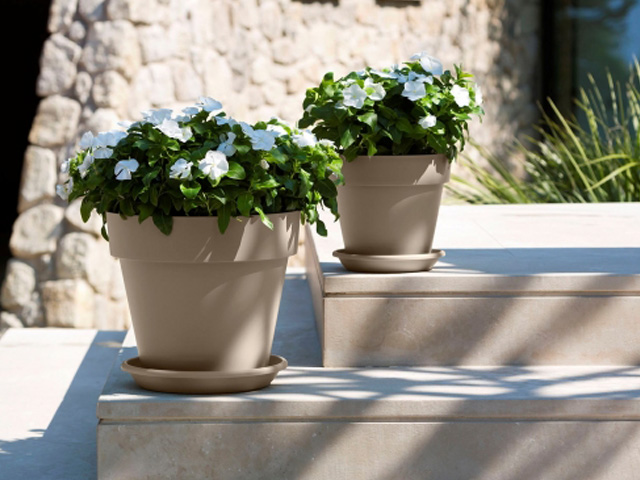 Lightweight Modern Design