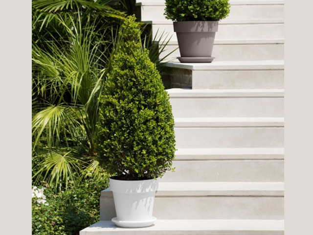 Lightweight Modern Design