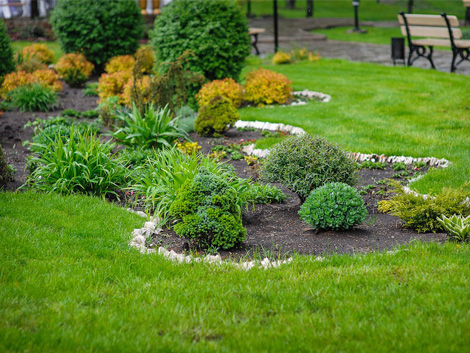 Soft Landscaping Specialists