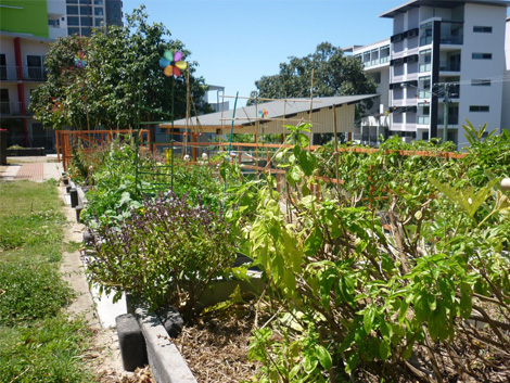 Jeays Street Park Community Garden