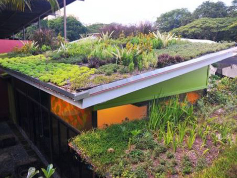 Rooftop Garden Solutions