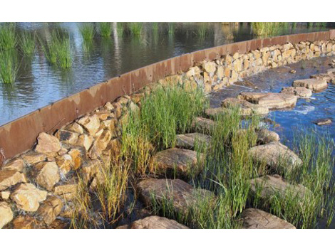 Oaklands Park Wetlands