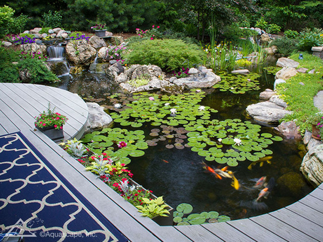 Aquarium and pond supplies best sale