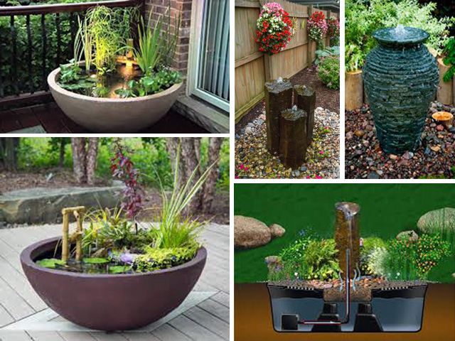 Water Features for a Lush Oasis