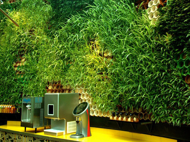 Plantlife as Living Filter
