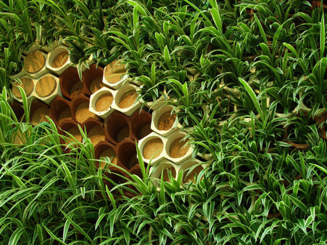 Plantlife as Living Filter